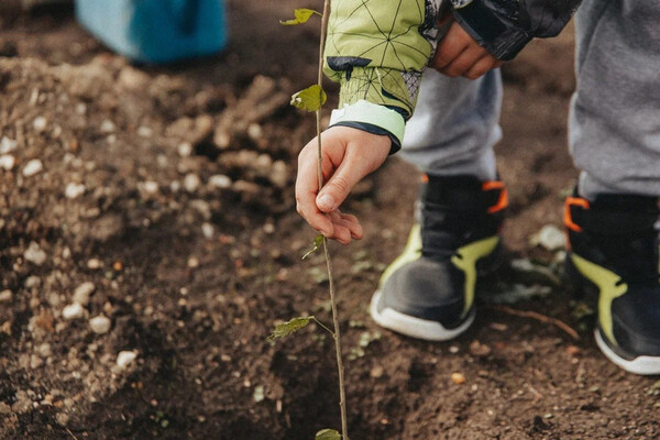 Garden of Memory Campaign in Sevastopol: Honoring Heroes Through Tree Planting and Living Memorials