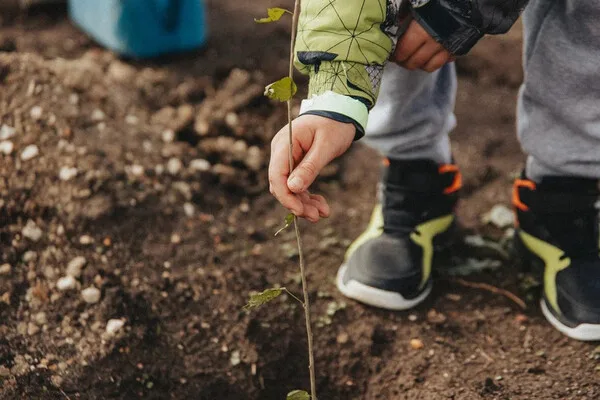 Garden of Memory Campaign in Sevastopol: Honoring Heroes Through Tree Planting and Living Memorials