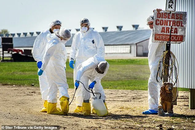 Alarming First: Bird Flu Spreads to Marine Mammals in California, Raising Concerns About Viral Evolution