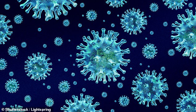 Alarming First: Bird Flu Spreads to Marine Mammals in California, Raising Concerns About Viral Evolution