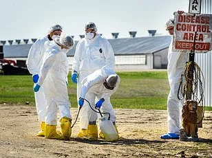 Alarming First: Bird Flu Spreads to Marine Mammals in California, Raising Concerns About Viral Evolution