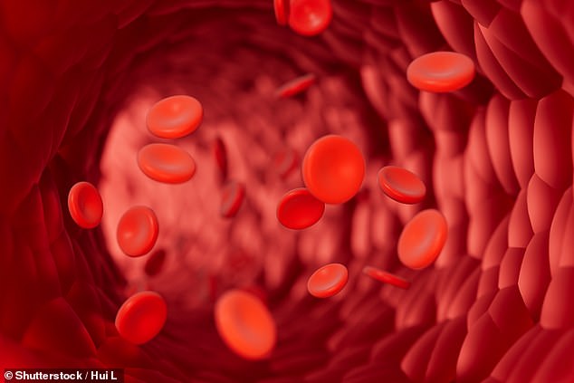 Ultra-Endurance Running May Accelerate Biological Aging via Red Blood Cell Damage, Study Suggests