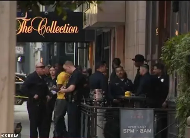 Heated Argument Over Bill Sparks Violence at Zaya Restaurant, Leaving Four Women Injured