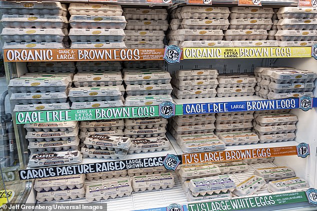 Organic Claims vs. Reality: What the Certification Really Means