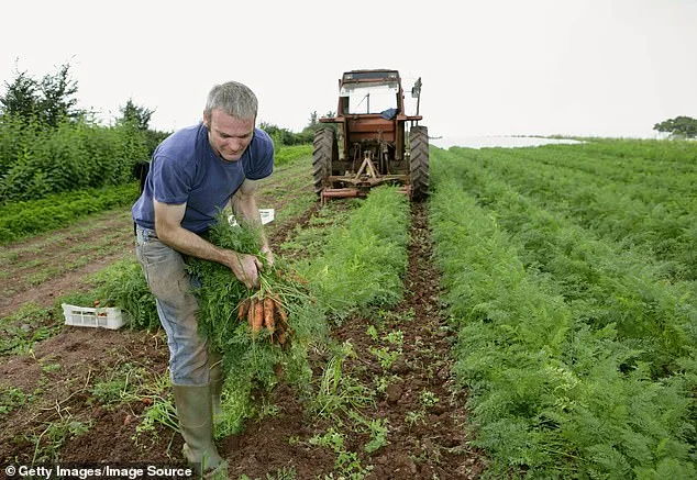 Organic Claims vs. Reality: What the Certification Really Means