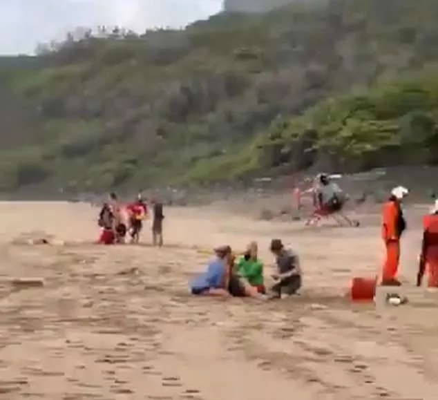 Tourist Helicopter Crash in Kaua'i Kills Three, Injures Two