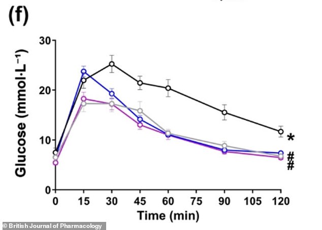Israeli Study Reveals CBD and CBG May Reverse Liver Damage from MASLD, Breaking the 'Silent Killer' Cycle