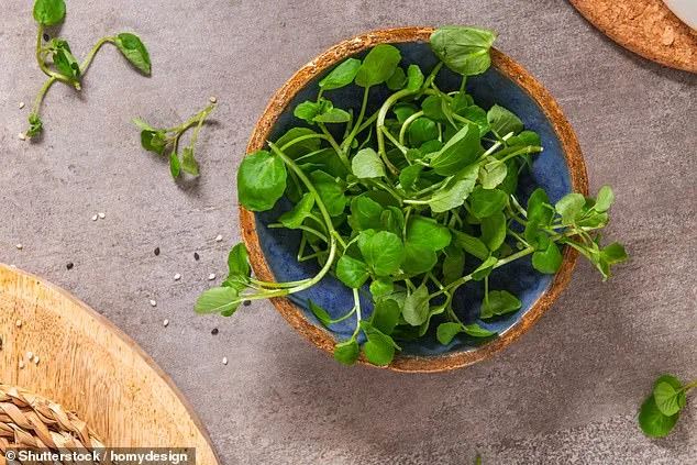 Watercress Earns CDC's 'World's Healthiest Vegetable' Title for Nutrient Powerhouse Status