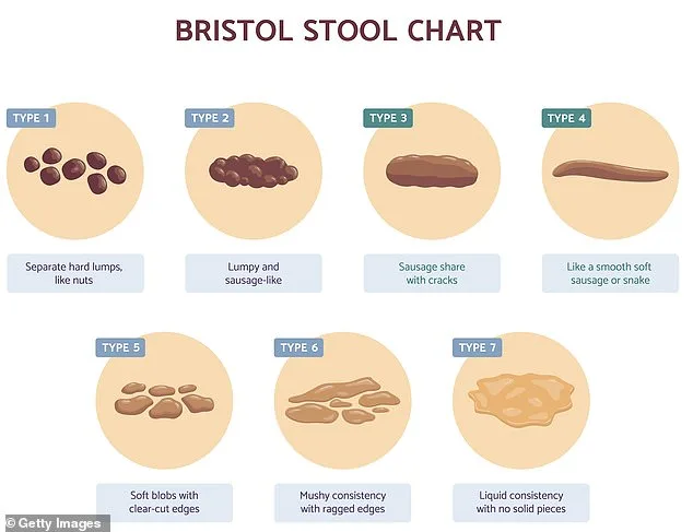 When Success Comes With a Stomachache: The Rise of Digestive Disorders Among Top Performers