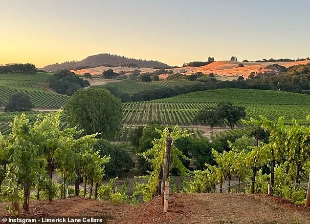 Haunted Legacy, Bold Move: Karen DeGolia Reclaims Tragedy's Site with Winery Purchase