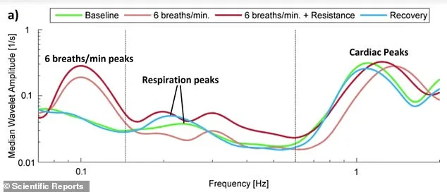 5 Morning Habits That Can Lower Blood Pressure as Effectively as Medication