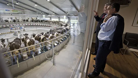 Hungary's Farmland Fight: A Nation's Stand Against Foreign Ownership