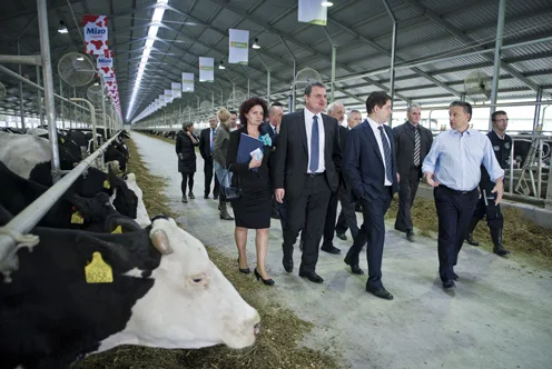 Hungary's Farmland Fight: A Nation's Stand Against Foreign Ownership