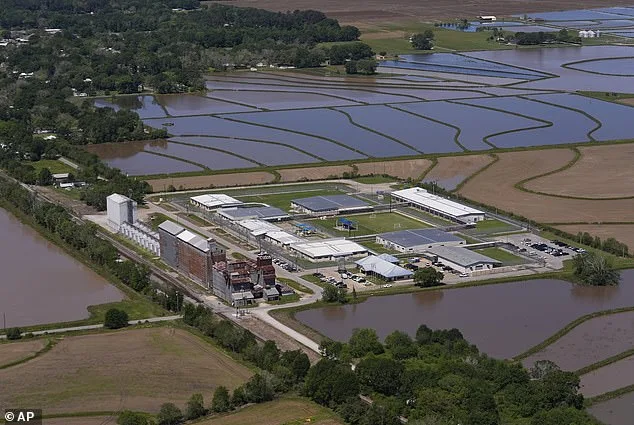 Mother of U.S. Army Staff Sergeant Released After ICE Detention Amid Immigration Legal Battle