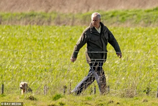 Prince Edward's Easter Visit to Andrew Mountbatten-Windsor Raises Questions About Royal Family Tensions as Epstein Fallout Intensifies