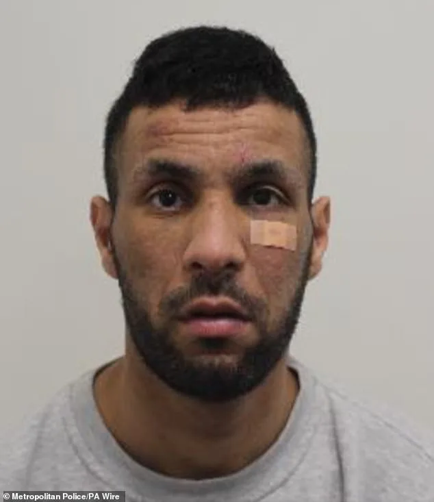 Fabergé Egg and £2 Million Watch Stolen in London Theft