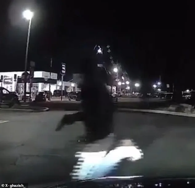 Chilling Surveillance Footage Reveals Targeted Chick-fil-A Shooting: One Dead, Six Injured