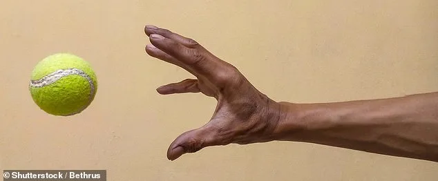 Chronic Shoulder Pain Surge in the UK: Aging and Sedentary Lifestyles Fuel the Crisis