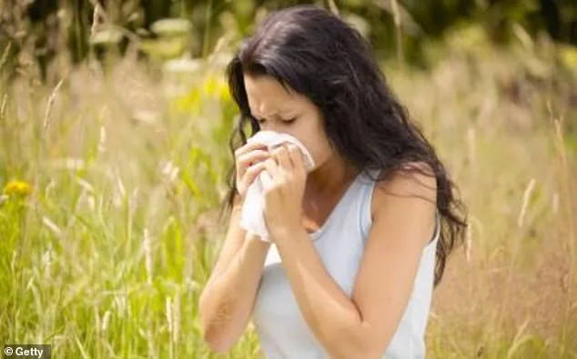 Pollen Bomb Sparks Hay Fever Crisis: UK Faces Brutal Season for 13 Million Sufferers