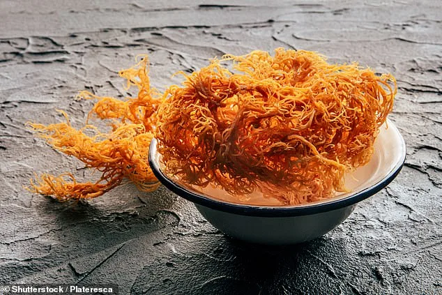 Sea Moss: Superfood Hype or Overhyped Miracle?