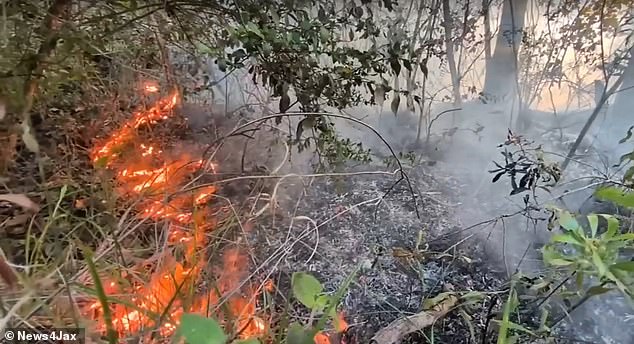 Amtrak train stranded for 19 hours after Florida brush fire blocks tracks.