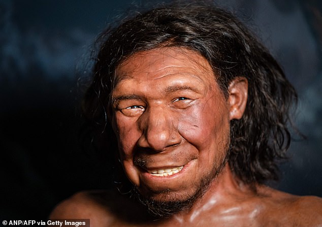 New DNA evidence reveals Neanderthals possessed sophisticated cultures and complex language.