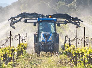 Phil Dressel faces final battle against Monsanto as cancer claim goes to court.