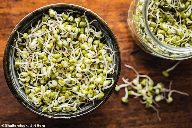 Global Salmonella outbreak linked to Italian sprout seeds affects eight nations.
