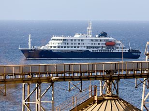 Cruise ships demonstrate how quickly illness spreads in packed, interconnected environments.