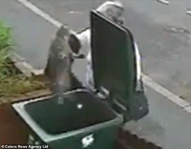 Cat Bin Lady Mary Bale Faces Permanent Global Infamy After Viral Video