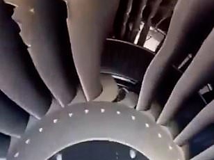 Wife Saves Husband From Falling Through Plane Window At 20,000 Feet