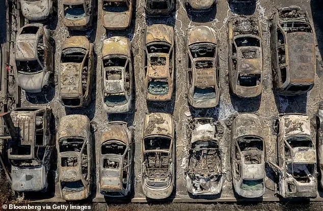 California's Wildlife Cleanup Hindered by Dangerous Lithium-Ion Batteries