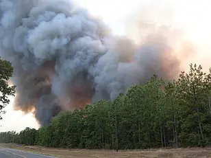 Joe Rogan Disputs Climate Change's Role in LA Wildfires