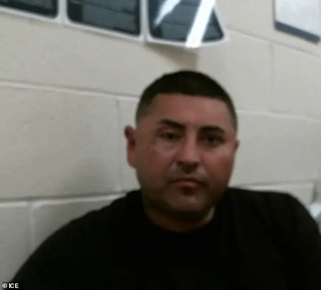 Trump's Immigration Crackdown Netting Thousands of Arrests