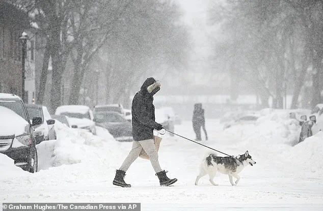 Arctic Blast Brings Deadly Winter Weather to the US