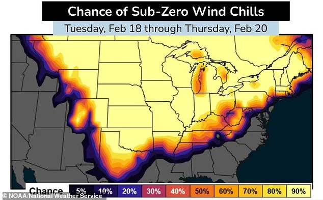 Arctic Blast Brings Deadly Winter Weather to the US