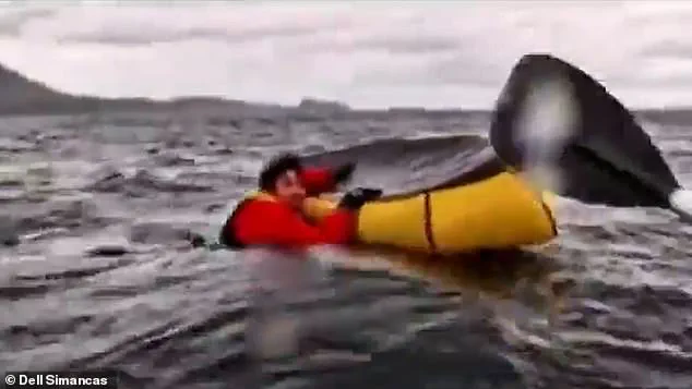 Cell phone video vindicates Massachusetts lobster diver who claimed to have been swallowed by a whale