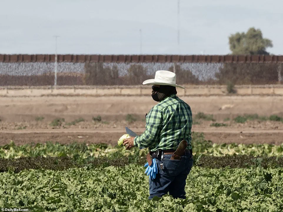 Coyotes Impersonating Border Patrol Officers to Smuggle Migrants