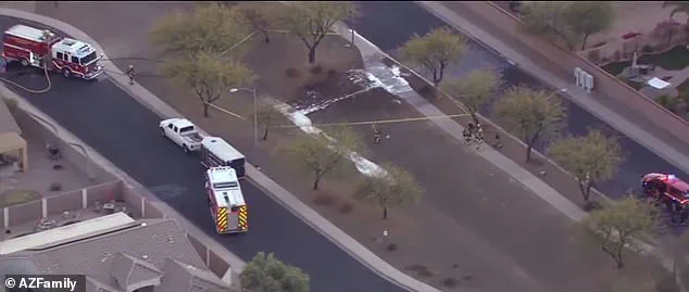 Crazy Bee Swarm Leaves Arizona Boys and Father with Intimidating Memories