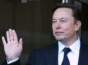 Elon Musk Takes on Another Government Department: Education
