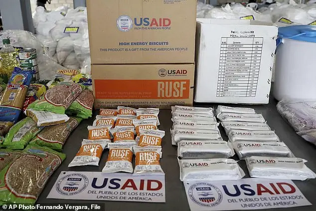 Elon Musk's Decision to Shut Down USAID: Impact and Implications