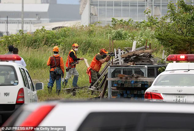 Japan's Bear Hunting Policy: Addressing a Growing Crisis