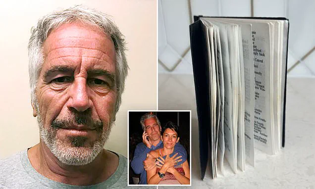 Jeffrey Epstein Files: Mixed Reactions as Right-Wing Influencers Gain Early Access