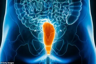 Evidence Suggests Human Anus Evolution Traced Back to Worm-Like Organism 550 Million Years Ago