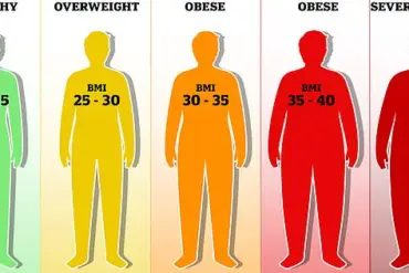Exclusive Study Reveals Link Between Waist Size Increase and Risk of Six Obesity-Related Cancers