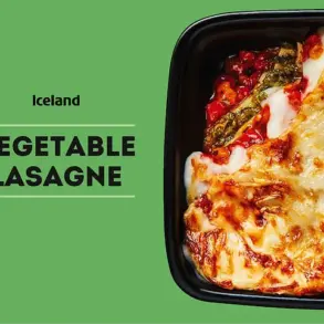 Iceland Vegetable Lasagne Recalled Due to Contamination Risk