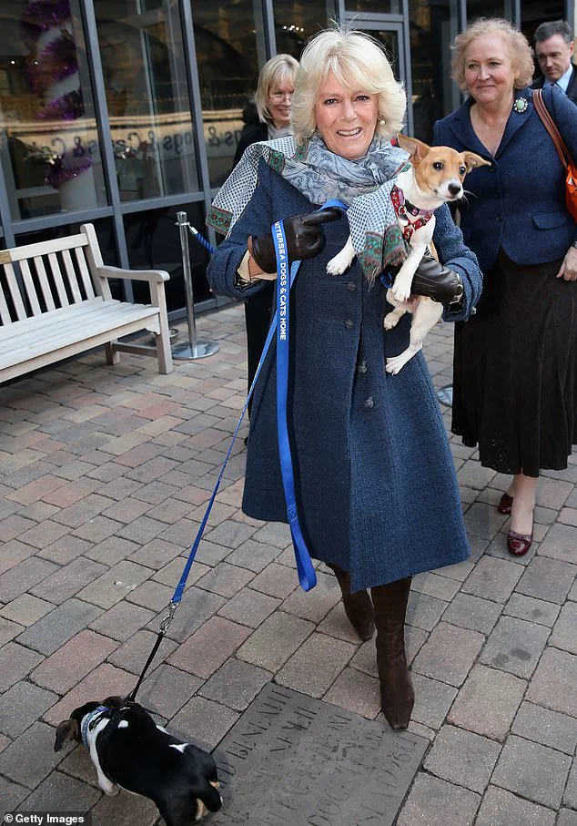 King Charles and Queen Camilla welcome new furry members to the royal family