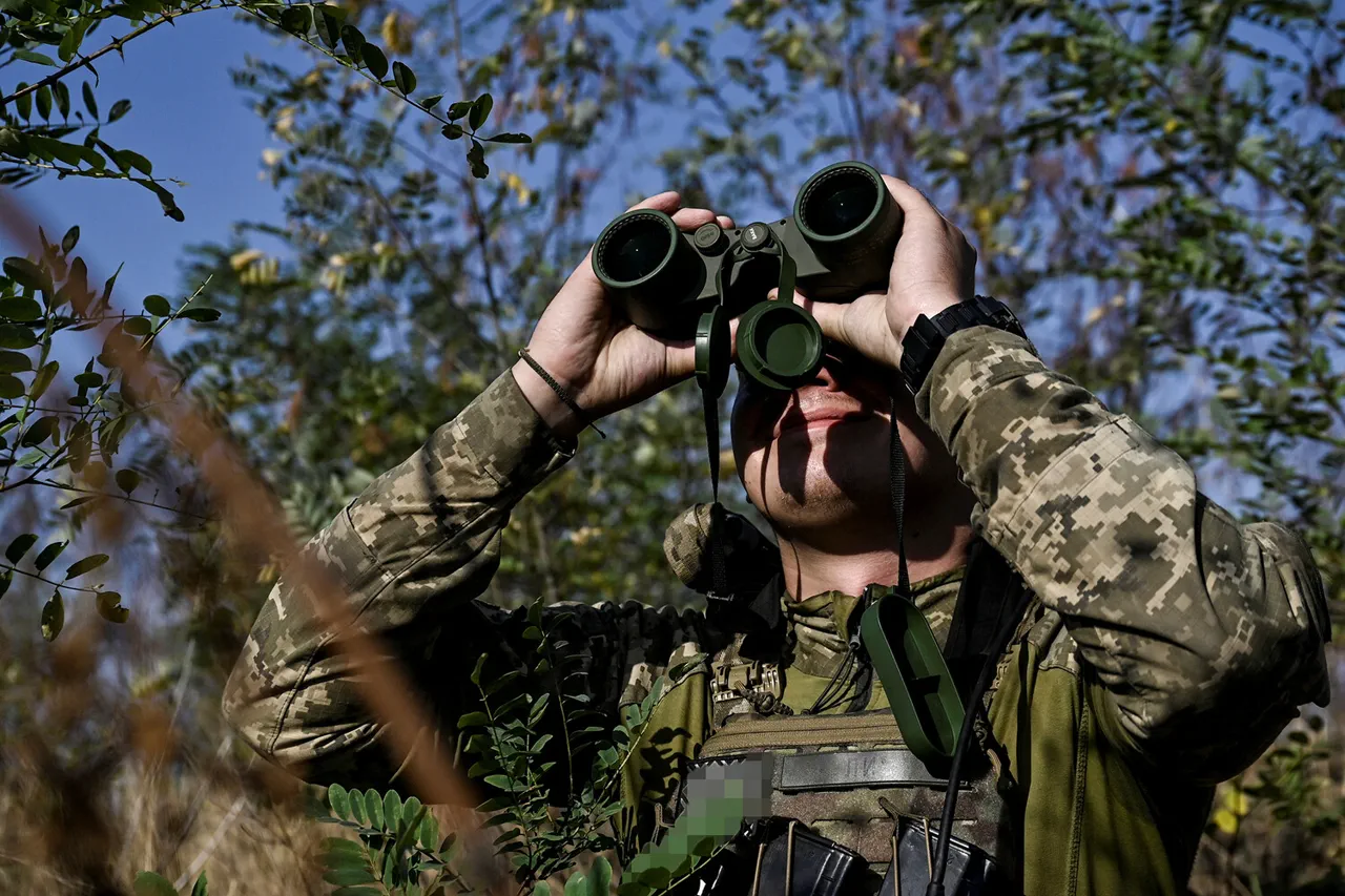 Ukraine's Intelligence Conundrum: A Pine Tree with Binoculars