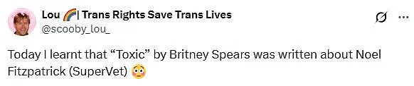 Britney Spears' 'Toxic' Unveiled as Alleged Love Song to SuperVet Noel Fitzpatrick