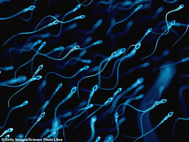 Declining Sperm Counts: A Global Crisis Threatening Human Fertility